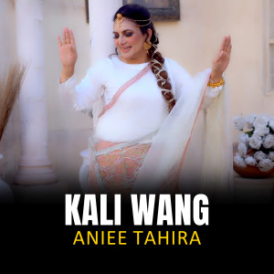 Listen to Kali Wang song with lyrics from Aniee Tahira