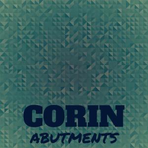 Various Artists的專輯Corin Abutments