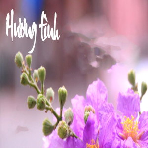 收聽Anh Hung的Bướm hoa歌詞歌曲