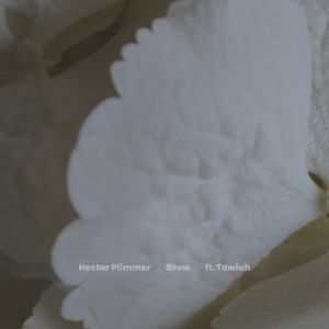 Album Grow from Hector Plimmer