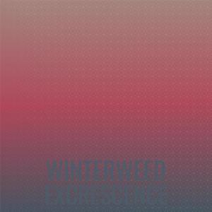 收听Kuro Kren的Winterweed Excrescence歌词歌曲