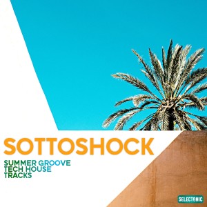 Various Artists的專輯Sottoshock: Summer Groove Tech House Tracks