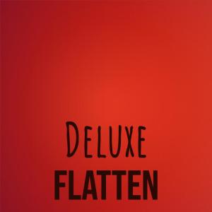 Various Artists的專輯Deluxe Flatten