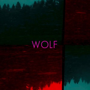 ดาวน์โหลดและฟังเพลง Wolf พร้อมเนื้อเพลงจาก ANORAQUE