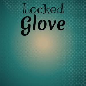 Various Artists的專輯Locked Glove