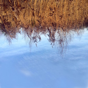 Listen to Make You Feel My Love song with lyrics from Ane Brun