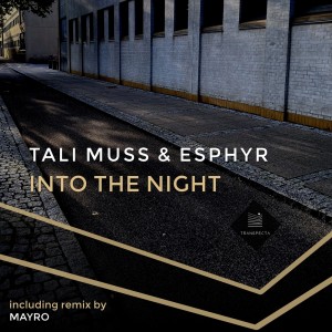 Listen to Into the Night (Dub Mix) song with lyrics from Tali Muss