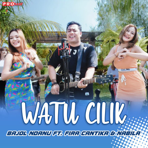 Listen to Watu Cilik song with lyrics from Fira Cantika