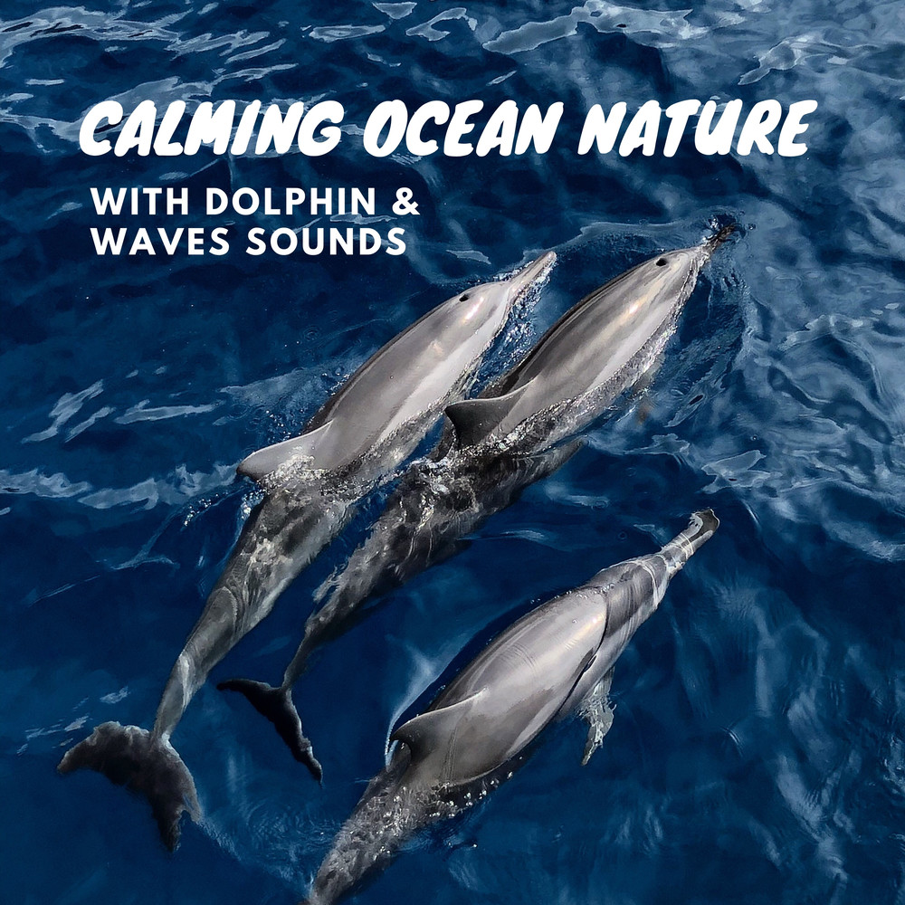 432 Hz Dolphins Sounds