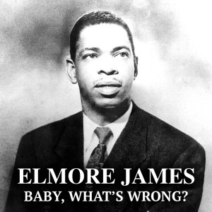 收聽Elmore James的Dust My Broom歌詞歌曲