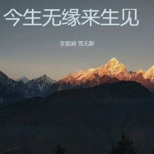 Album 今生无缘来生见 from 