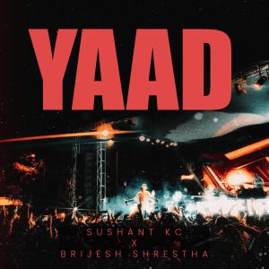 Listen to Yaad song with lyrics from Sushant KC