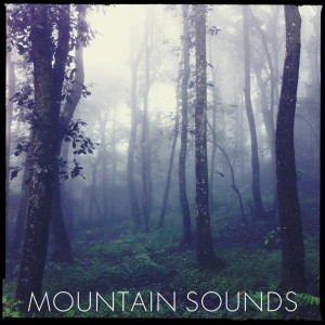 ดาวน์โหลดและฟังเพลง Breathing Fire พร้อมเนื้อเพลงจาก Mountain Sounds