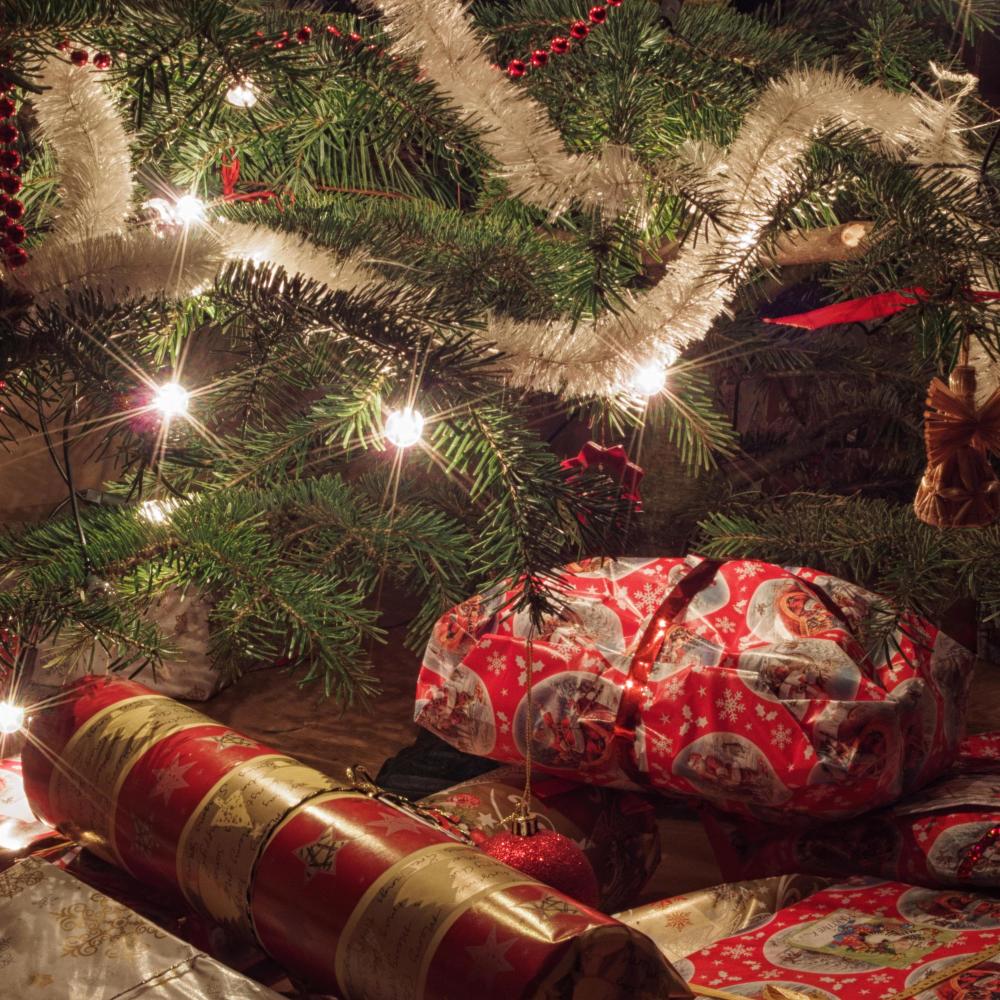 Merry Christmas