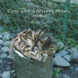 Cats and Ambient Music: Gentle Sleep dari Catching Sleep