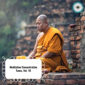 Various的专辑Meditation Concentration Tunes, Vol. 10