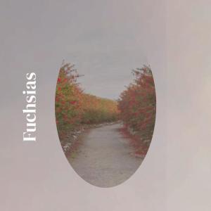 Various的专辑Fuchsias