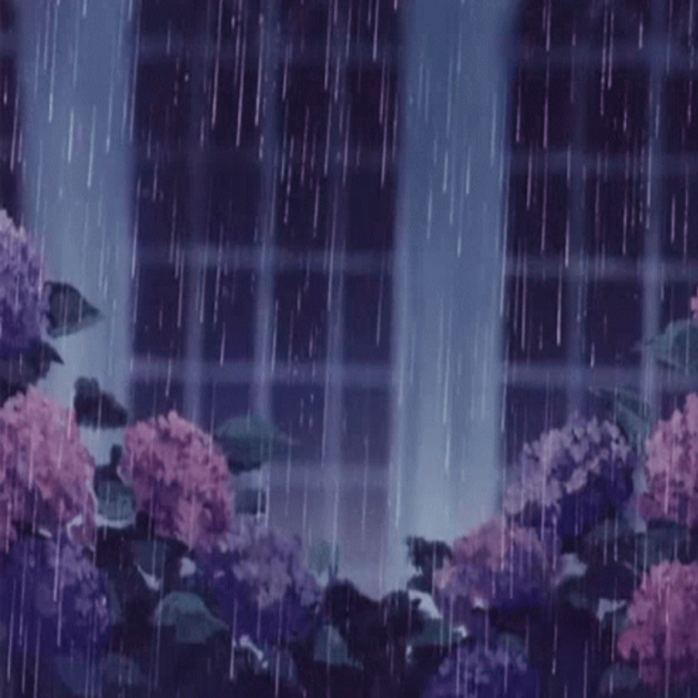 Rainy Day