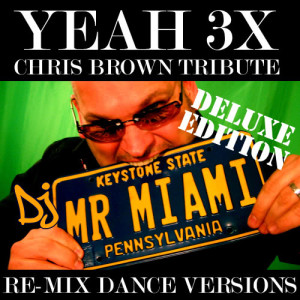 收聽DJ Mr. Miami的Yeah 3X (Chris Brown Tribute) (Miami Re-Mix)歌詞歌曲