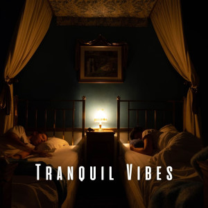 Tranquil Vibes: Music for Restorative Sleep