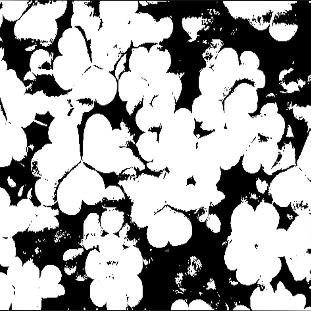 korene (intro) (Explicit)