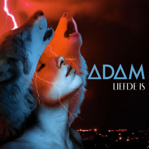 收听ADAM的Liefde Is (Skoon Weergawe)歌词歌曲