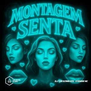 Listen to MONTAGEM SENTA (Explicit) song with lyrics from DJ THEUZINN 015