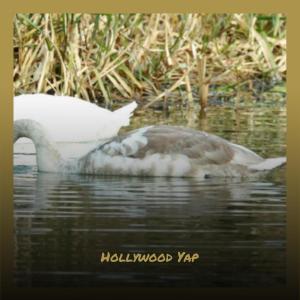 Listen to Manakin song with lyrics from Reyy Hils