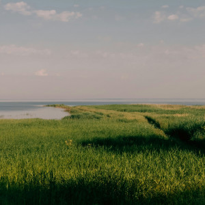 ดาวน์โหลดและฟังเพลง where the wind blew me พร้อมเนื้อเพลงจาก METAHESH