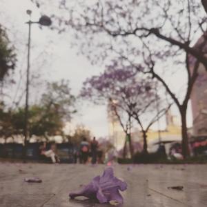 Dengarkan Conexión eterna(feat. Choco) (Explicit) lagu dari Anikillador dengan lirik