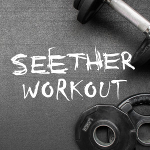 Seether的專輯Seether Workout (Explicit)