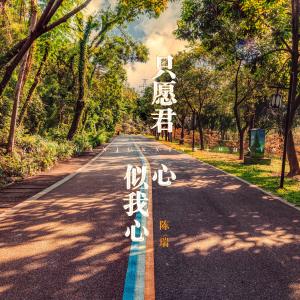 收聽陳瑞的只願君心似我心歌詞歌曲