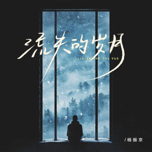Listen to 流失的岁月 (伴奏) song with lyrics from 杨振京