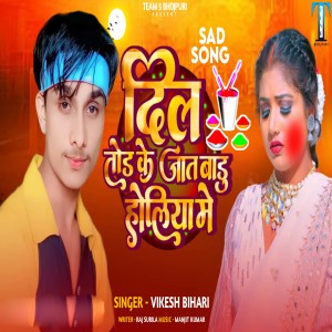 Listen to Dil Tod Ke Jat Badu Holiya Me song with lyrics from Vikesh Bihari