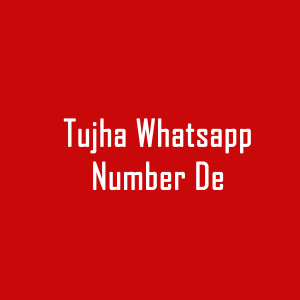 Album Tujha Whatsapp Number De from Shivangi Prajapati