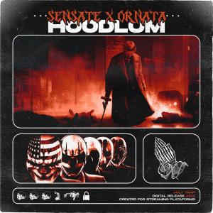 Listen to HOODLUM song with lyrics from SENSATE