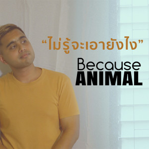 Album ไม่รู้จะเอายังไง (Backing Track) from Because Animal