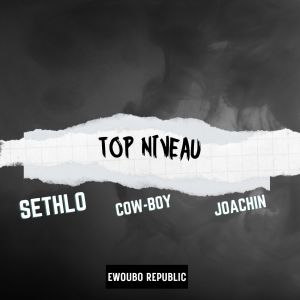 Album Top niveau from Sethlo