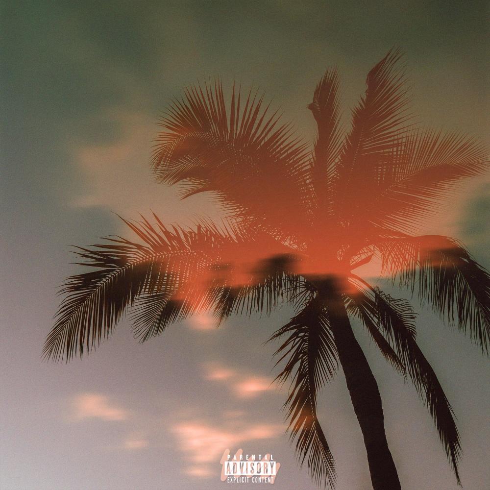Don't Stress (feat. agoldencoast)