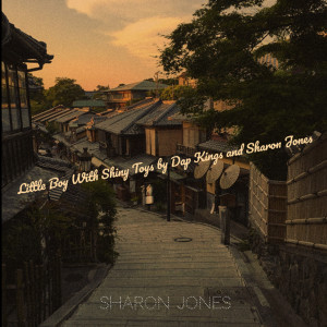 Album Little Boy With a Shiny Toys from Sharon Jones