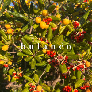 ดาวน์โหลดและฟังเพลง bulanco พร้อมเนื้อเพลงจาก Surrender