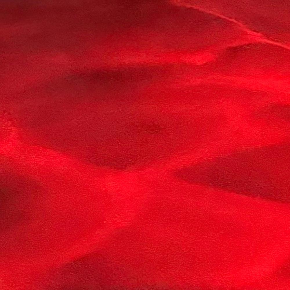 void (test)
