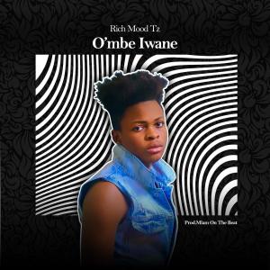 ดาวน์โหลดและฟังเพลง O'mbe iwane พร้อมเนื้อเพลงจาก Rich Mood Tz