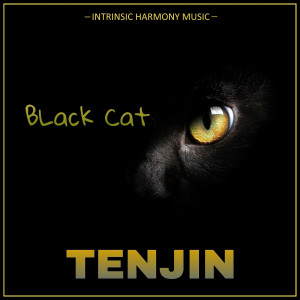 收聽Tenjin的Black Cat (Explicit)歌詞歌曲