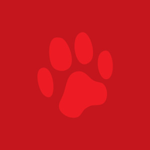 ดาวน์โหลดและฟังเพลง Dog Days (DJ Sneak’s 420 Dog Mix) (DJ Sneak's 420 Dog Remix) พร้อมเนื้อเพลงจาก Matthew Dear