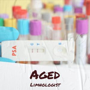 Listen to Almost Time song with lyrics from Dany Yonier