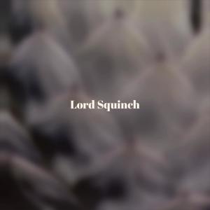 Album Lord Squinch from 
