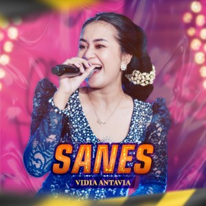 Dengarkan Sanes lagu dari Vidia Antavia dengan lirik