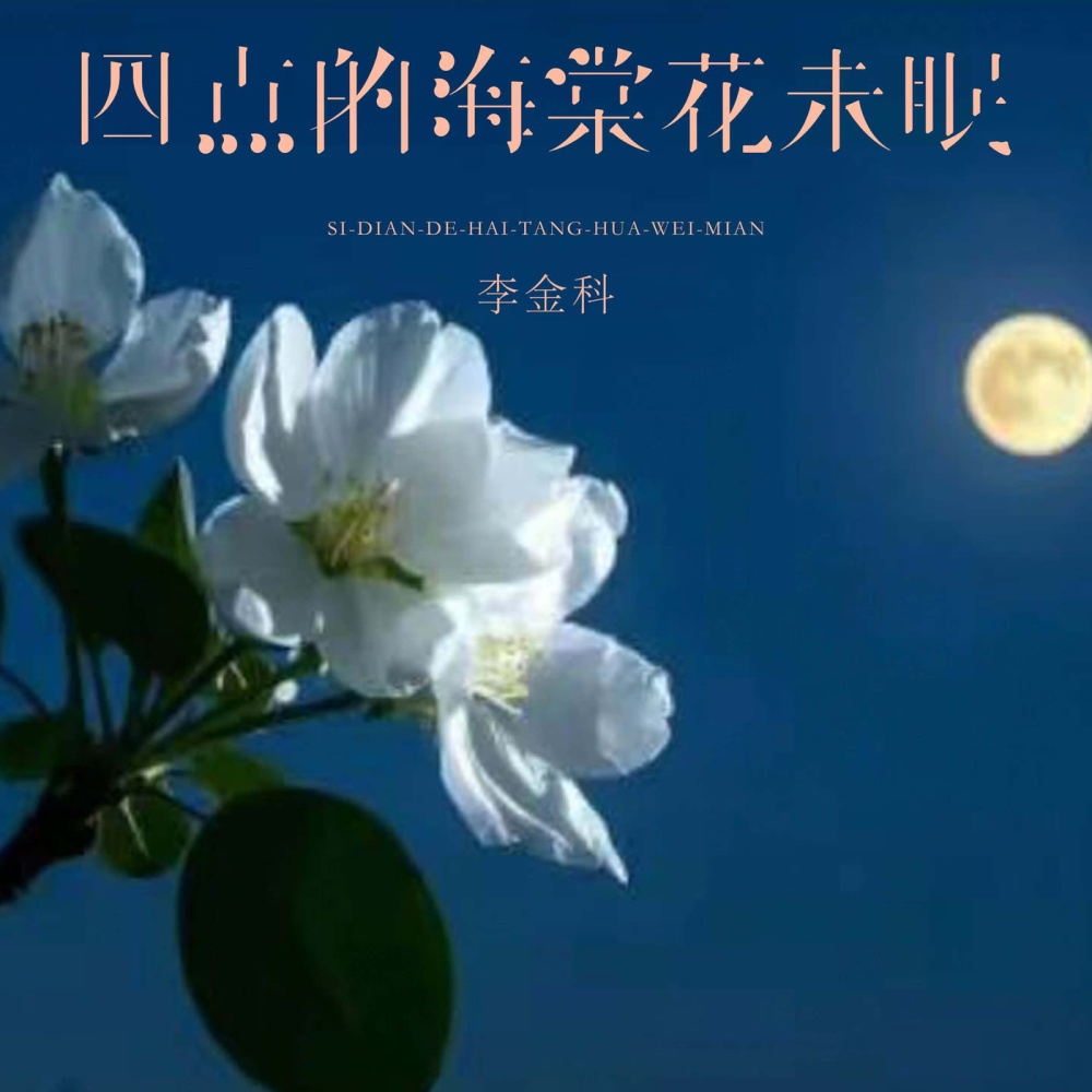 四点的海棠花未眠 (伴奏)