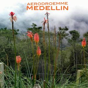 Aerodroemme的專輯Medellin